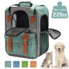 Pet Travel Carrier B...