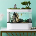 10L Fish C500  Tank Smart Feeder Timing Work With WIFI Mijia App Control Automatic From Xiao