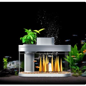 R100 DIY Landscaping...