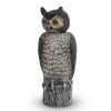Rotating Head Owl De...