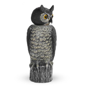 Rotating Head Owl De...