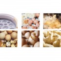 Digital Automatic Incubator 9 Eggs Chicken LED Light Hatcher Turning Temperature Incubator - EU