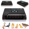 AC 110-220V 20 Eggs Incubator Hatching Chicks Fully Automatic Poultry Hatching Machine Egg Turn - 220V US