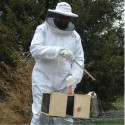 Beekeeping Protective Equipment Jacket Veil Full Body Suit Hat Smock Beekeeping Tools Set - 2XL