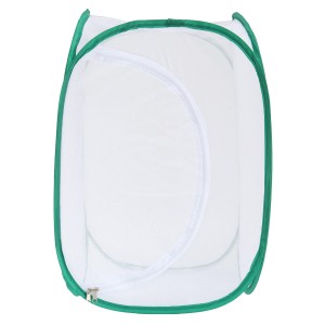 Praying Mantis Stick...