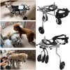 Pet Dog Wheelchair f...